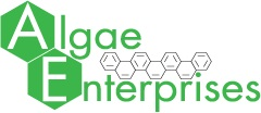 Algae Enterprises – Algae System Logo