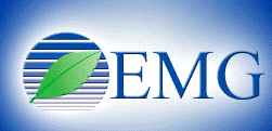 Environmental Management Group International, Inc. – Engineering Solutions Logo