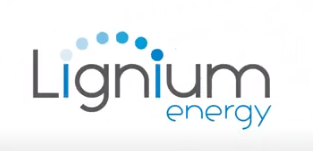 Lignium Energy – Combustion Pellets Logo