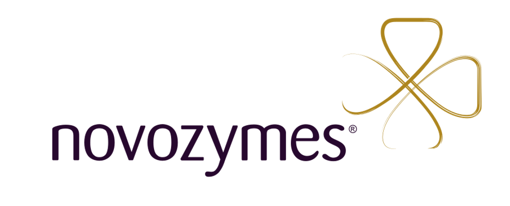 Novozymes – Custom Enzyme Solutions Logo
